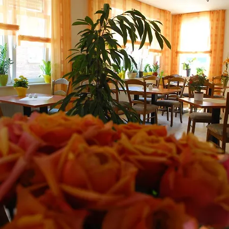 Hotel Am Pan 2*